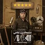 بهترین آهنگهای نجمه الدین غلامی
